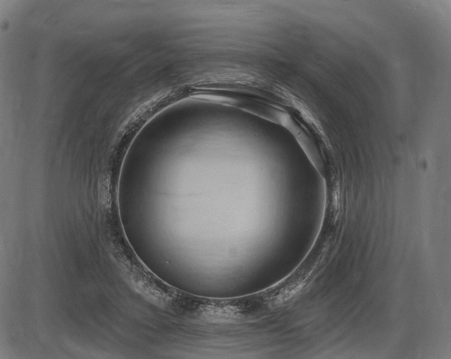X0000087530403200704271212