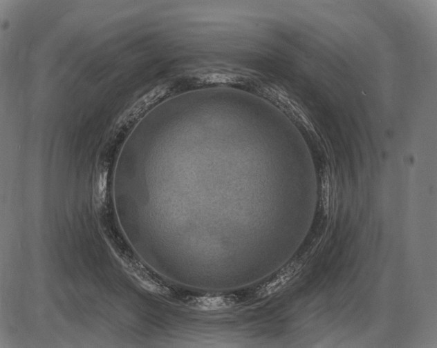 X0000087530406200704271212