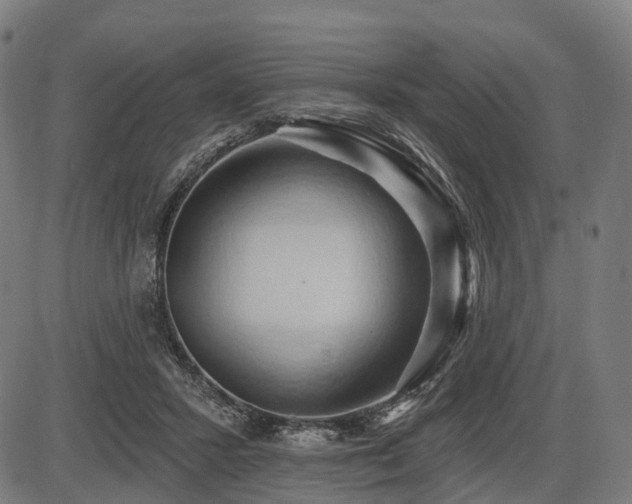 X0000087530407200704271212