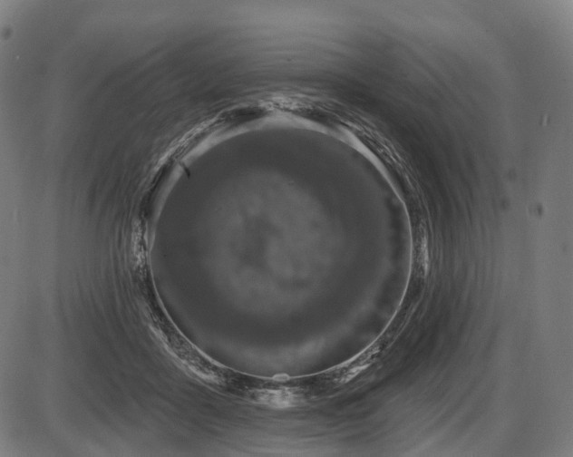 X0000087530411200704271212