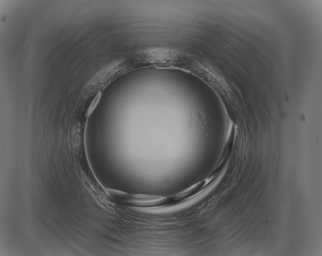 X0000087530413200704271212