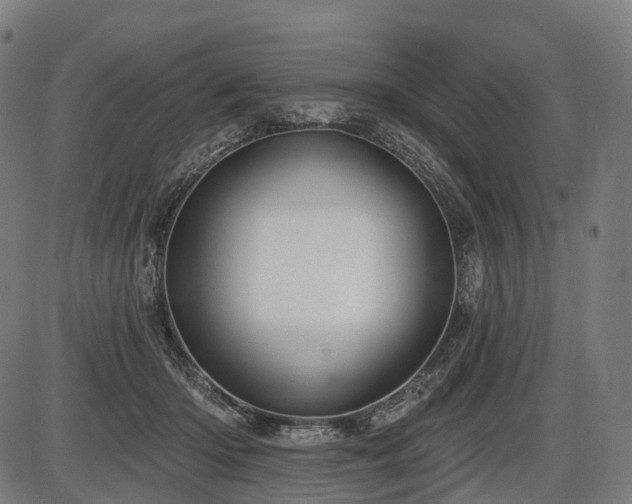 X0000087530414200704271212