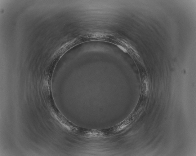 X0000087530415200704271212