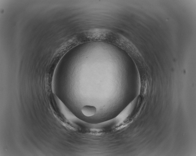 X0000087530416200704271212