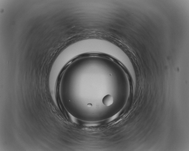 X0000087530417200704271212