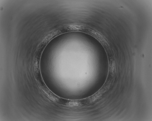 X0000087530418200704271212