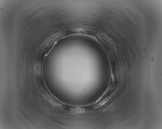 X0000087530421200704271212
