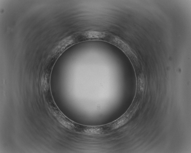 X0000087530422200704271212