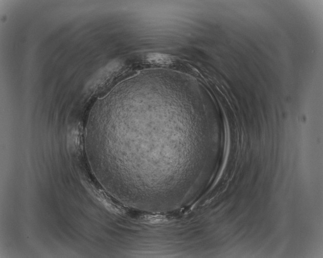 X0000087530424200704271212