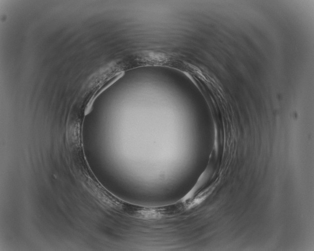 X0000087530425200704271212