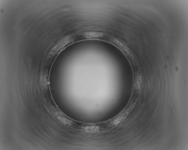 X0000087530426200704271212