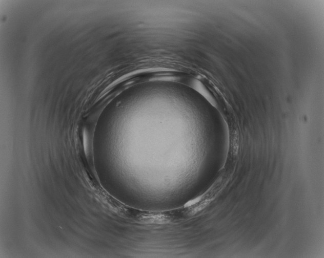 X0000087530428200704271211