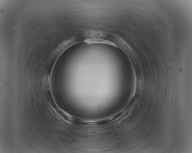 X0000087530429200704271211