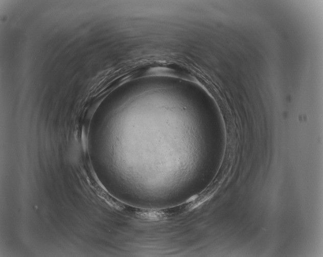 X0000087530432200704271211