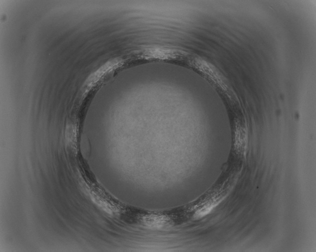 X0000087530444200704271211