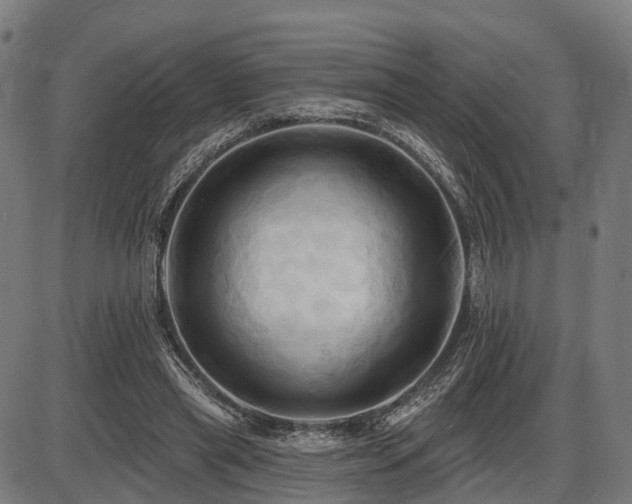 X0000087530445200704271211