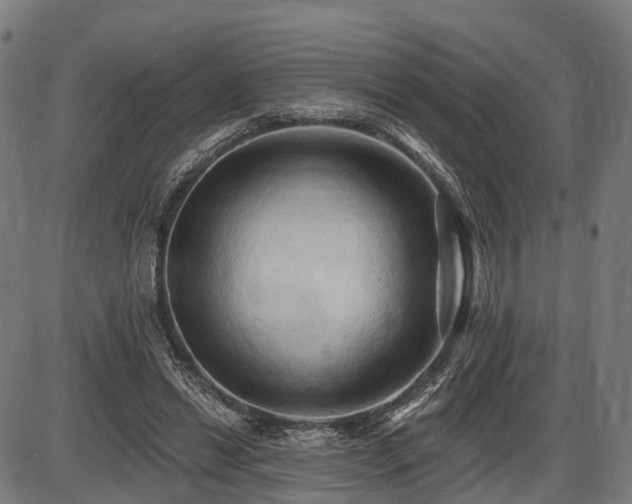 X0000087530446200704271211