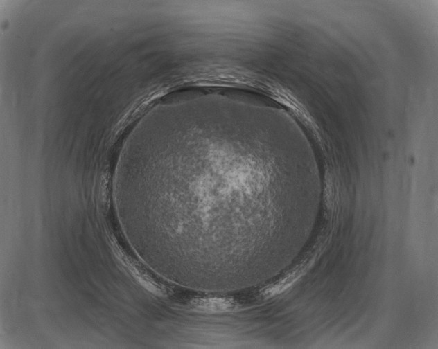 X0000087530449200704271211