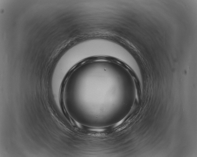 X0000087530452200704271211