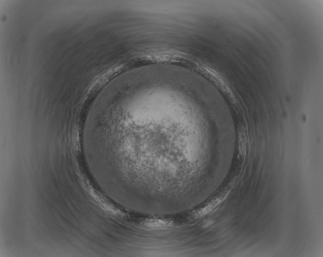 X0000087530453200704271211