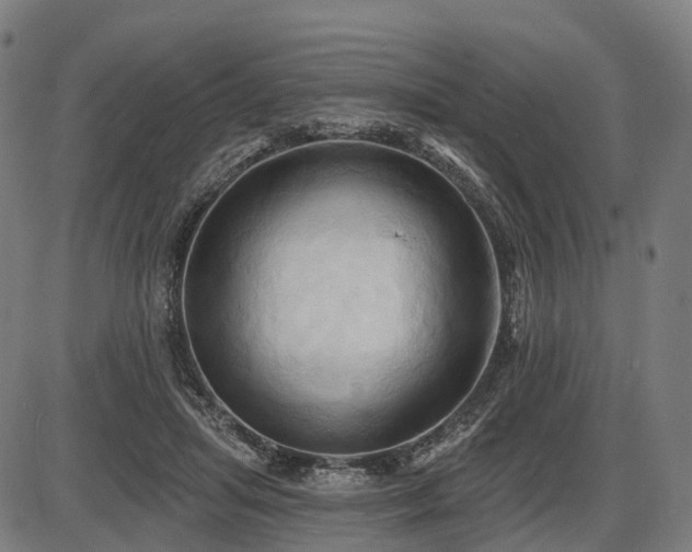 X0000087530455200704271211