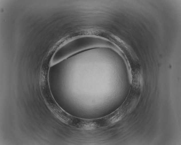 X0000087530456200704271211