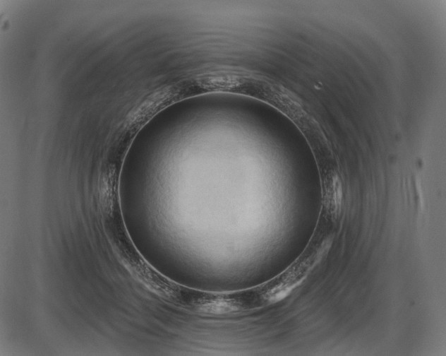 X0000087530460200704271211
