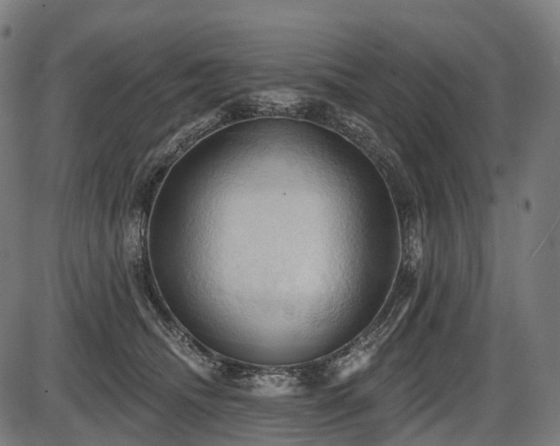 X0000087530468200704271211