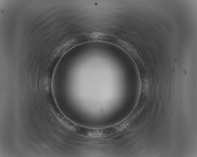 X0000087530470200704271211