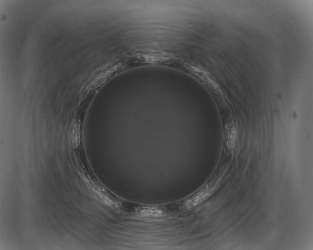 X0000087530471200704271211