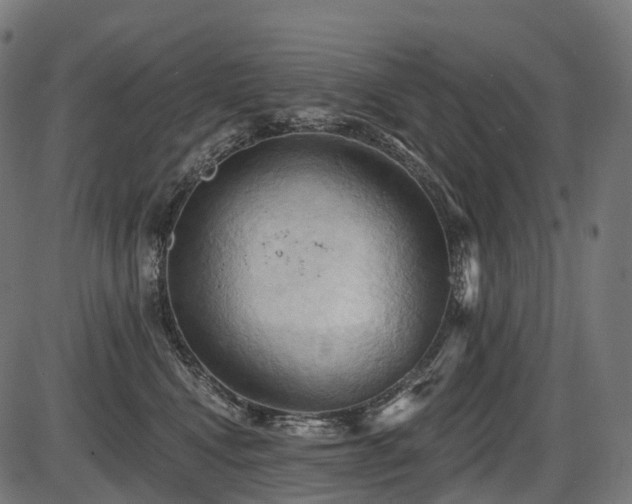 X0000087530472200704271211