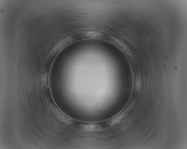 X0000087530473200704271211