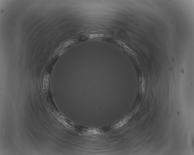 X0000087530475200704271211