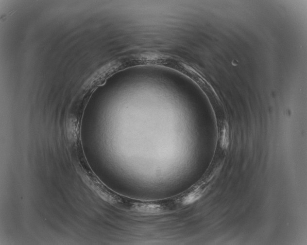 X0000087530476200704271211