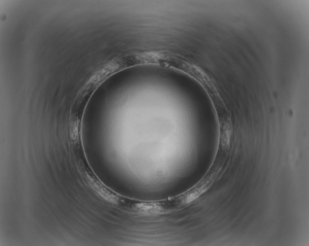 X0000087530477200704271211