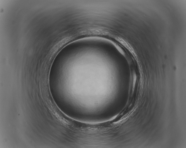 X0000087530481200704271211