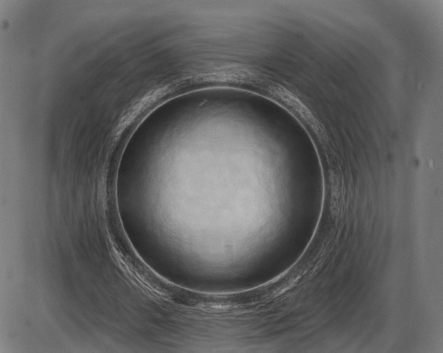 X0000087530482200704271211