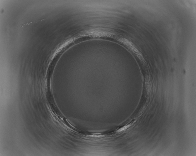 X0000087530488200704271211