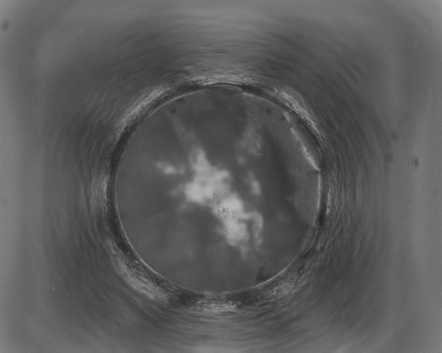 X0000087530491200704271210