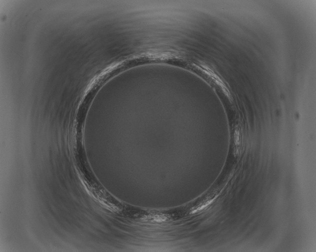 X0000087530492200704271210
