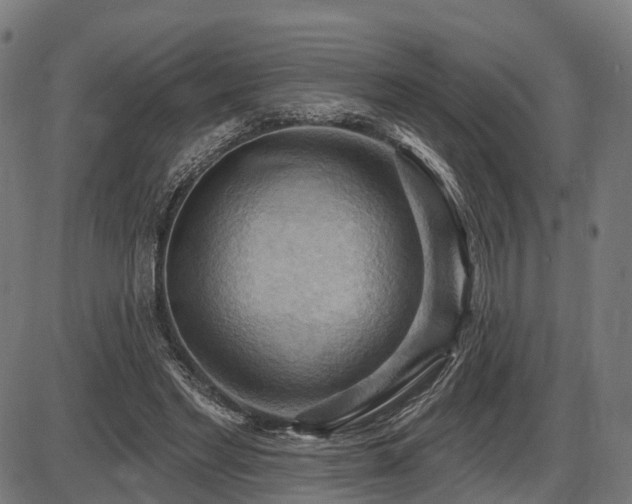 X0000087530493200704271210
