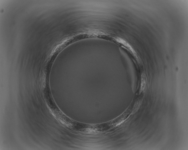 X0000087530496200704271210