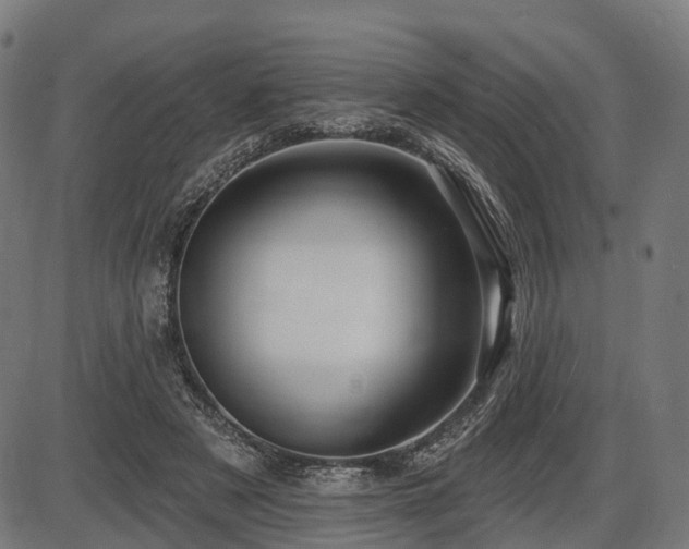 X0000087530497200704271210
