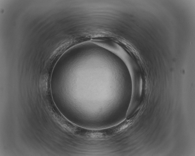 X0000087530501200704271210