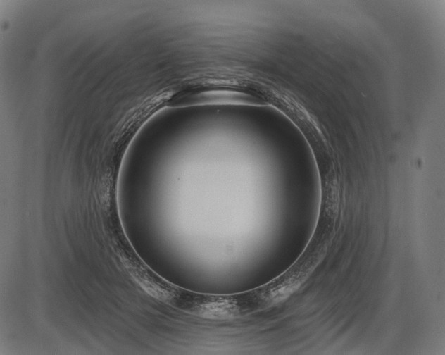X0000087530505200704271210