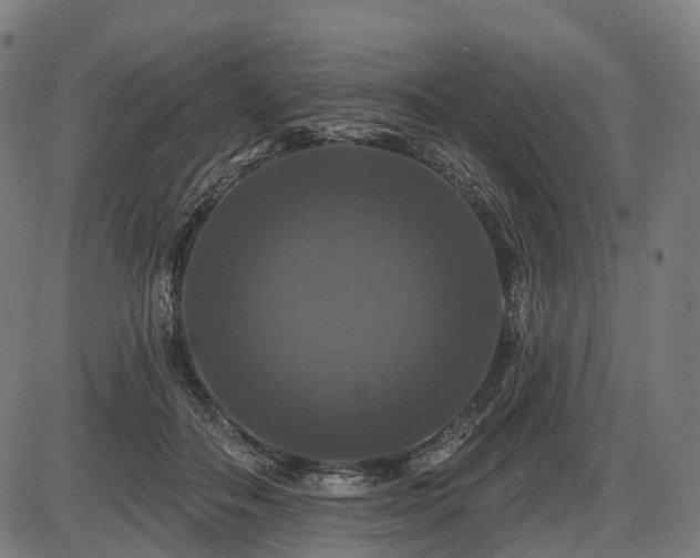 X0000087530506200704271210
