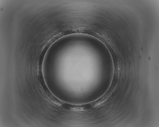 X0000087530508200704271210