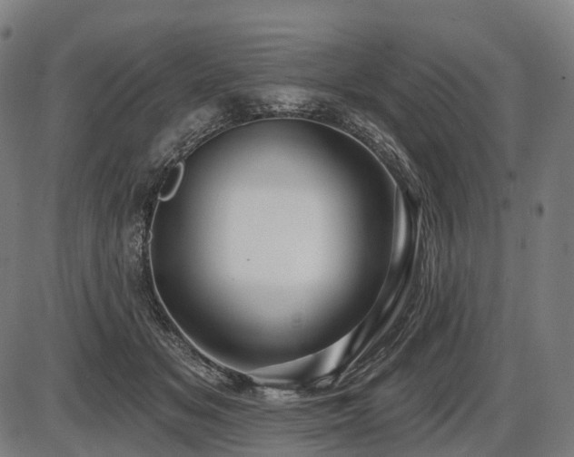 X0000087530509200704271210