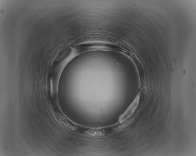 X0000087530512200704271210