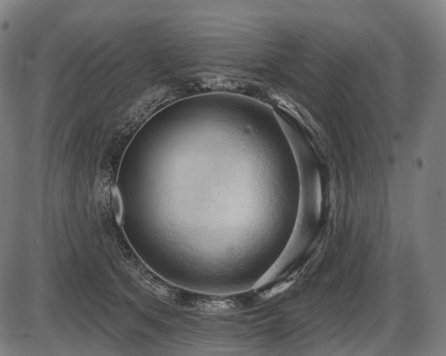 X0000087530513200704271210